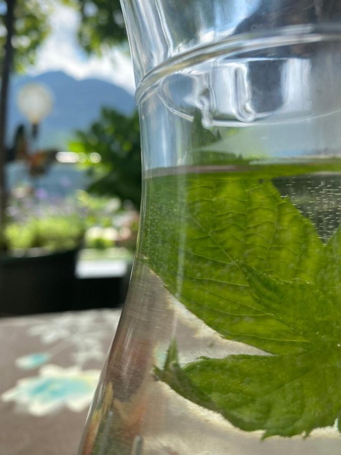 Hotel Garni Pinzgau, Fabian Huettl Neukirchen am Grossvenediger Ngoại thất bức ảnh